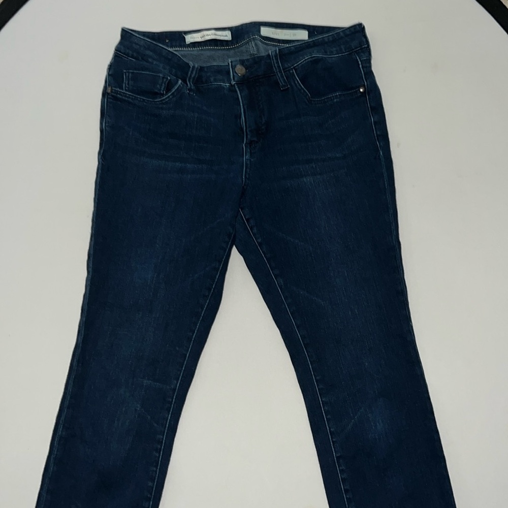 GUC - Anthropologie Pilcro Brand Jeans